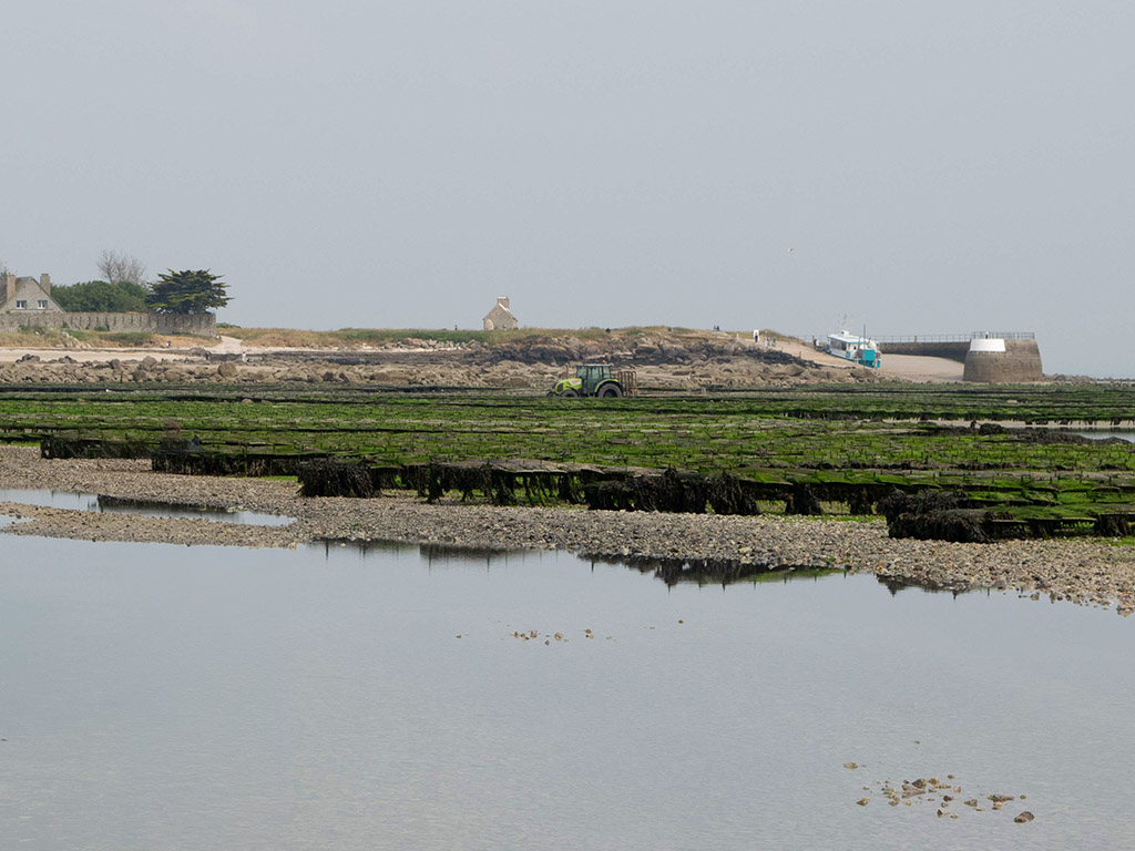>Île Tatihou, Saint-Vaast-la-Hougue - Manche, image : Le Dit de l'Eau