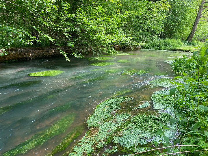 Résurgence du Guiel - Eure, image : Le Dit de l'Eau